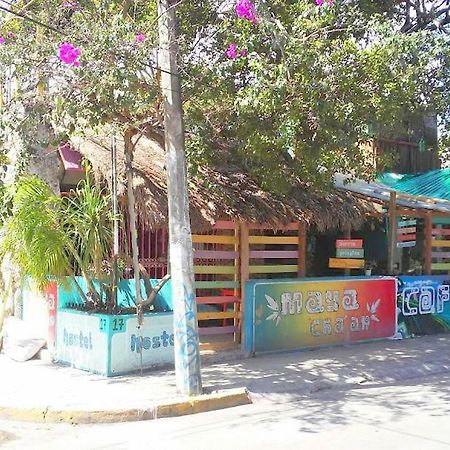 Maya Cha'An Guesthouse カンクン エクステリア 写真