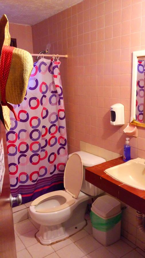 Maya Cha'An Guesthouse カンクン エクステリア 写真